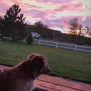 Meet your Posher, Breonah